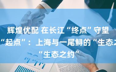 辉煌优配 在长江“终点”守望生命“起点”：上海与一尾鲟的“生态之约”