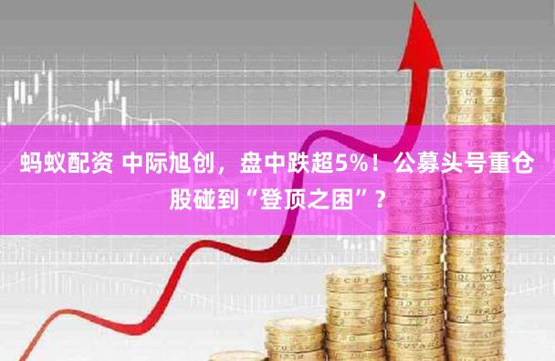 蚂蚁配资 中际旭创，盘中跌超5%！公募头号重仓股碰到“登顶之困”？