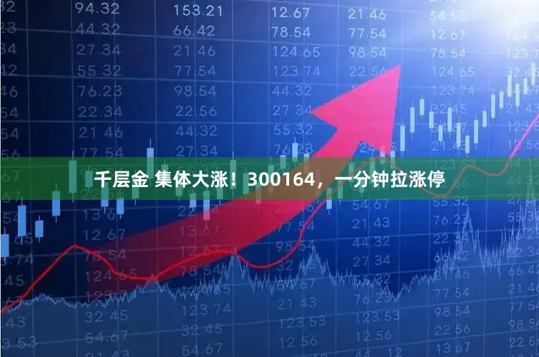 千层金 集体大涨!300164,一分钟拉涨停