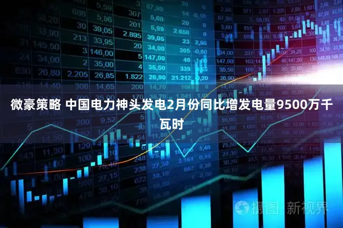 微豪策略 中国电力神头发电2月份同比增发电量9500万千瓦时