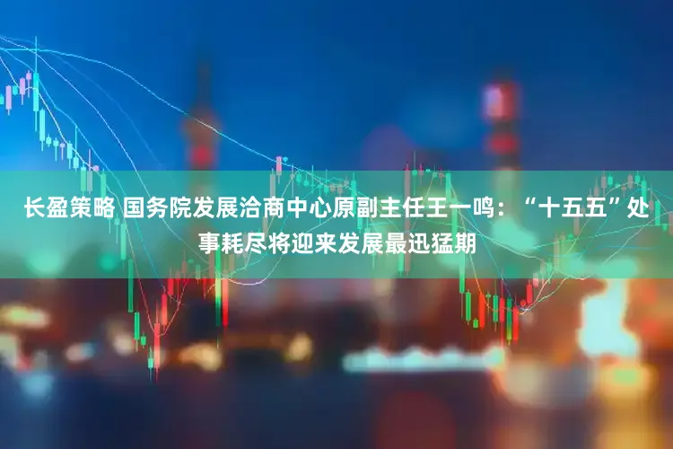 长盈策略 国务院发展洽商中心原副主任王一鸣：“十五五”处事耗尽将迎来发展最迅猛期