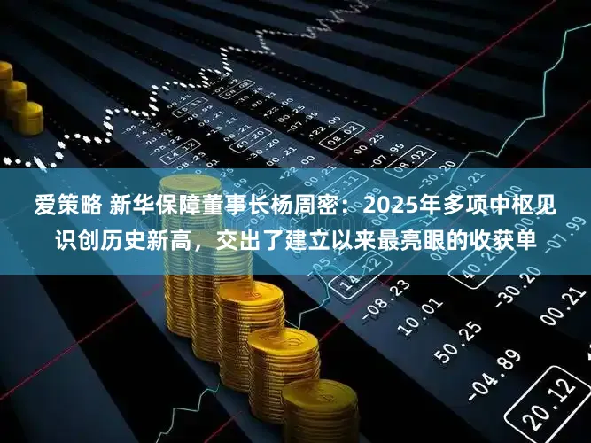爱策略 新华保障董事长杨周密:2025年多项中枢见识创历史新高,交出了建立以来最亮眼的收获单