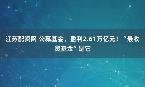 江苏配资网 公募基金，盈利2.61万亿元！“最收货基金”是它