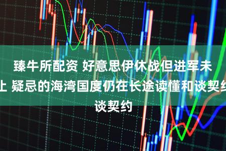 臻牛所配资 好意思伊休战但进军未止 疑忌的海湾国度仍在长途读懂和谈契约