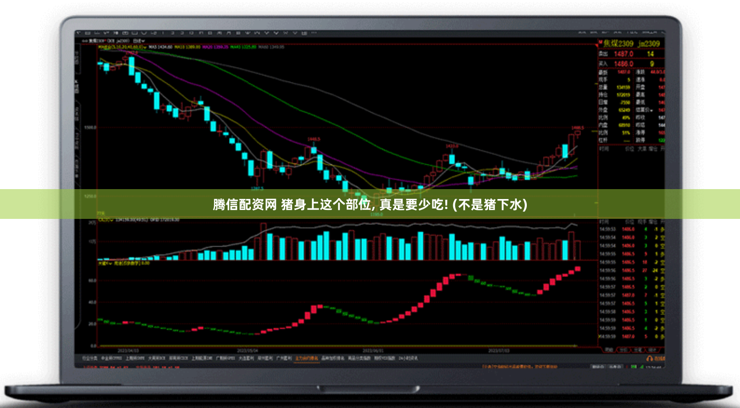 腾信配资网 猪身上这个部位, 真是要少吃! (不是猪下水)