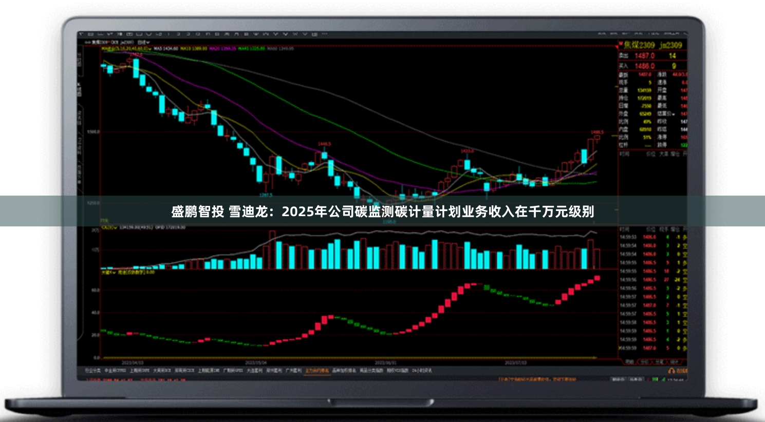 盛鹏智投 雪迪龙：2025年公司碳监测碳计量计划业务收入在千万元级别