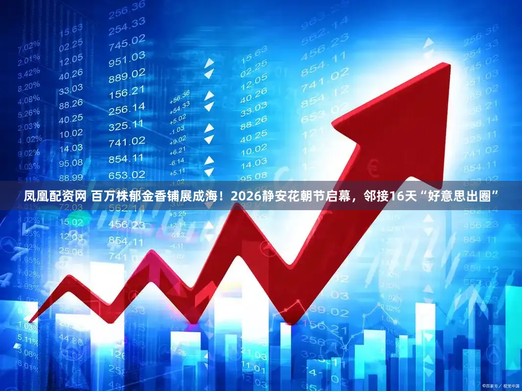 凤凰配资网 百万株郁金香铺展成海！2026静安花朝节启幕，邻接16天“好意思出圈”