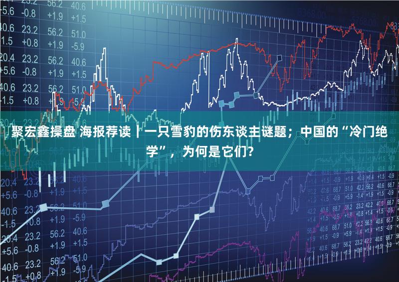 聚宏鑫操盘 海报荐读｜一只雪豹的伤东谈主谜题；中国的“冷门绝学”，为何是它们？