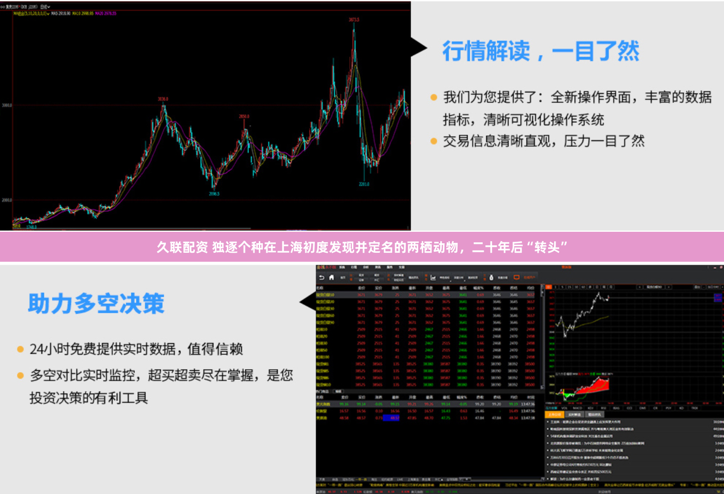 久联配资 独逐个种在上海初度发现并定名的两栖动物，二十年后“转头”