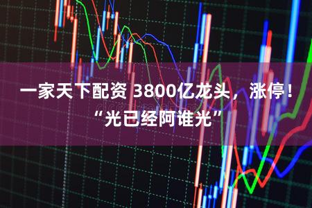 一家天下配资 3800亿龙头，涨停！“光已经阿谁光”