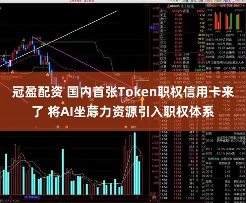 冠盈配资 国内首张Token职权信用卡来了 将AI坐蓐力资源引入职权体系